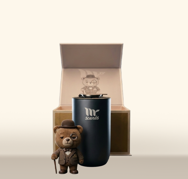 Mr Car 10 Car Fragrance Diffuser