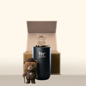 Mr Car 10 Car Fragrance Diffuser