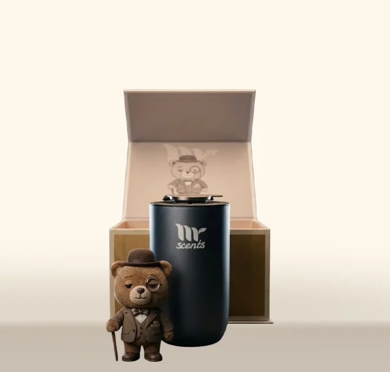 Mr Car 10 Car Fragrance Diffuser