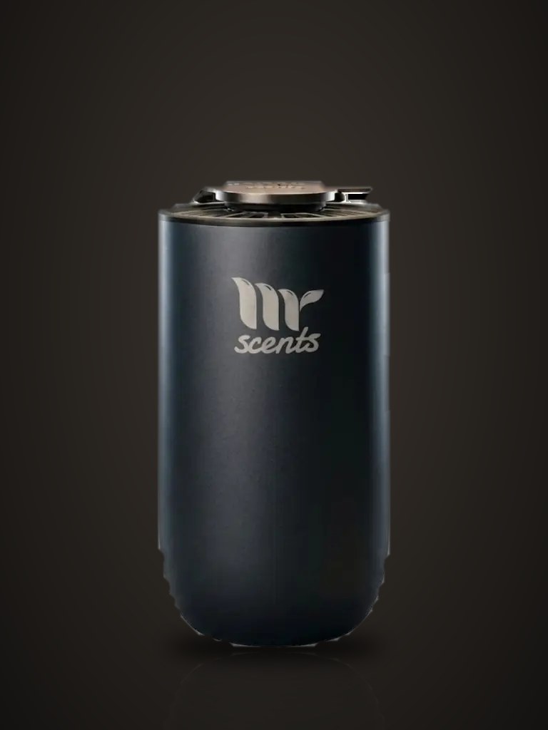 Mr Car 10 Car Fragrance Diffuser